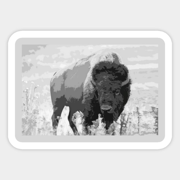 Wild Buffalo - American Bison Sticker by Highseller